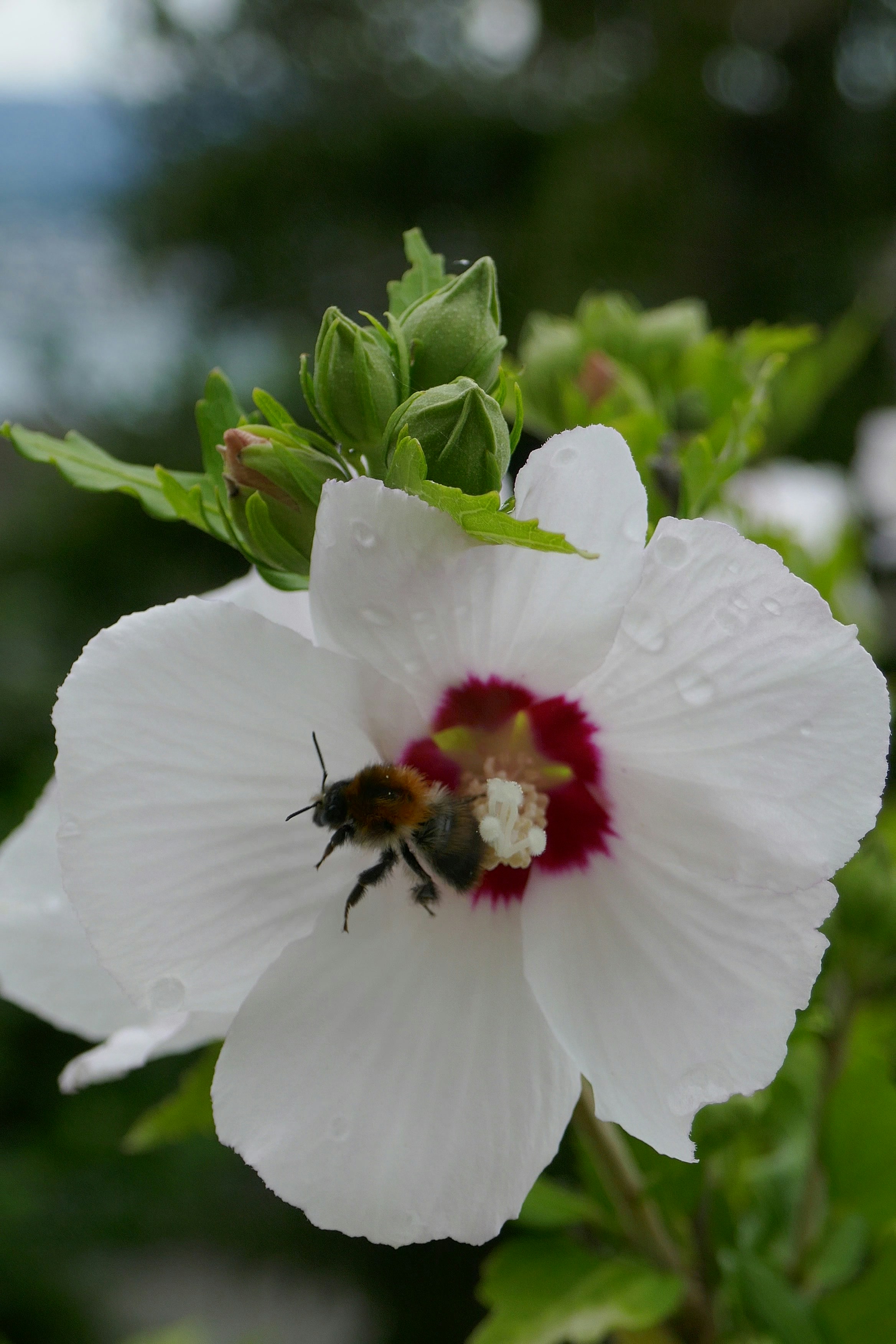 The help of the righteous with Allah a moral story